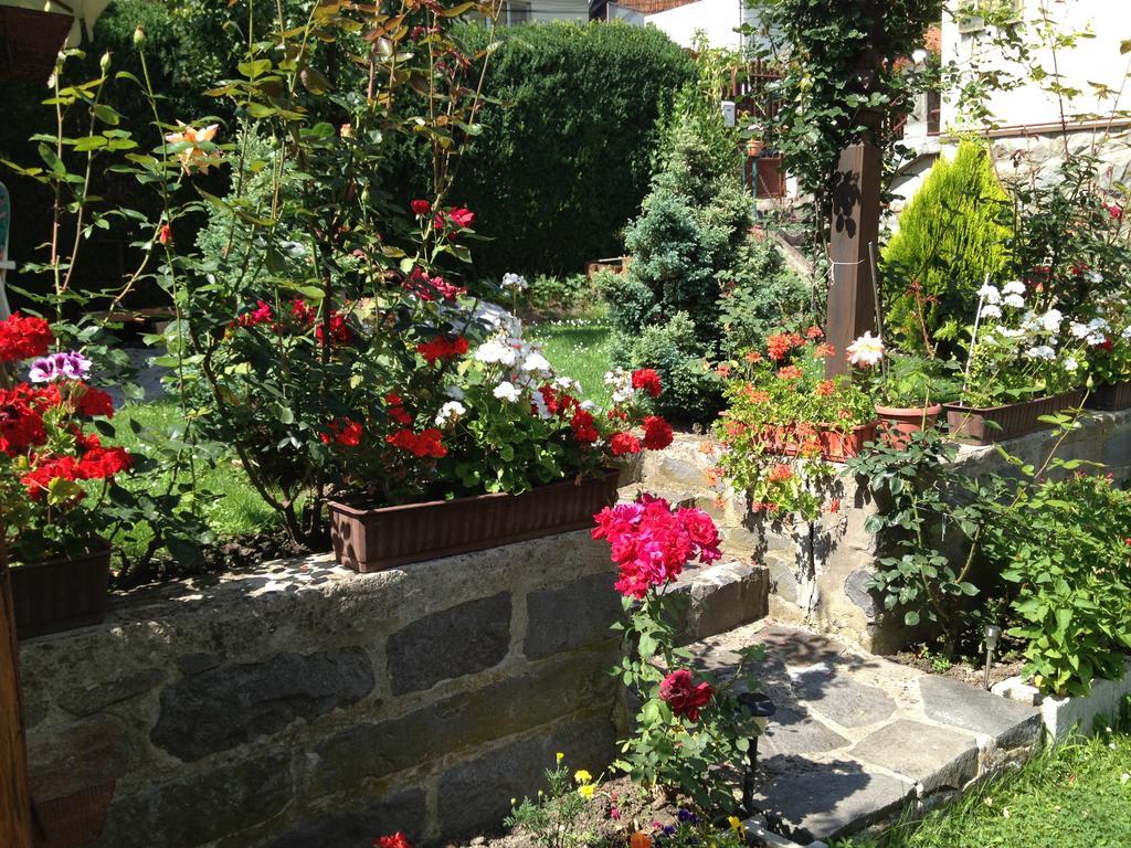 Apartmán Casa Katona Sovata Exteriér fotografie